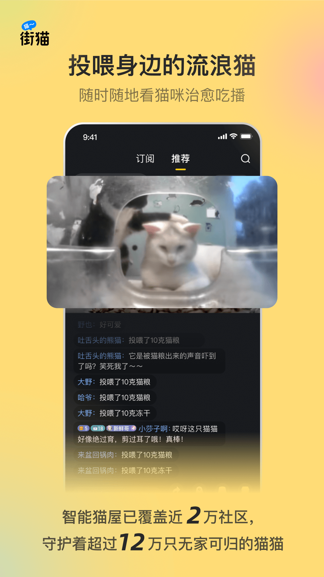 街猫